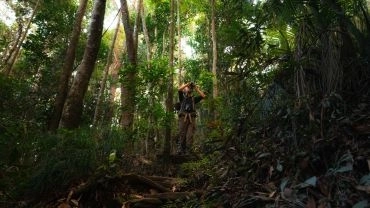 Imersão Florestal no Sítio Boa Esperança, em Domingos Martins (com piquenique)